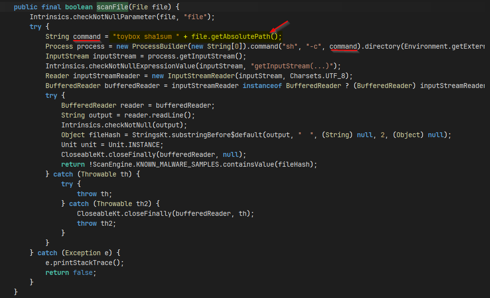 Command construction with unsanitized file path
