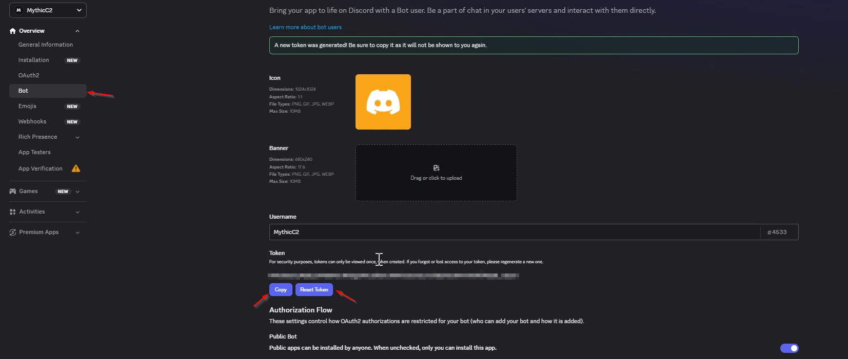 Copying the Discord bot token